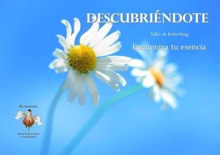 Descubriéndote1